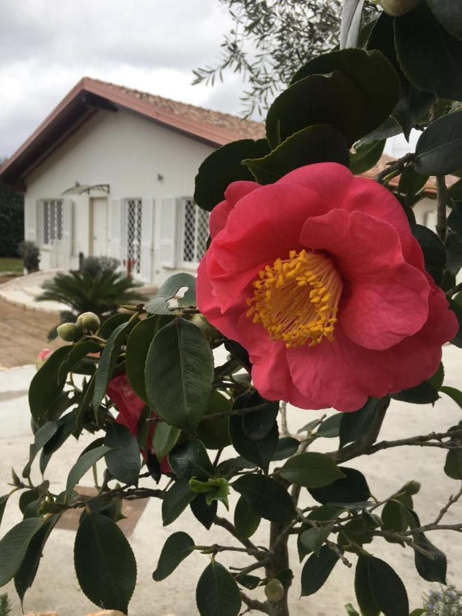 Tenuta Michele Neapol Exteriér fotografie